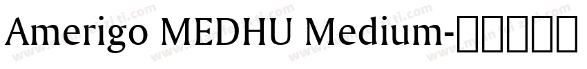 Amerigo MEDHU Medium字体转换